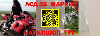 мет Моздок