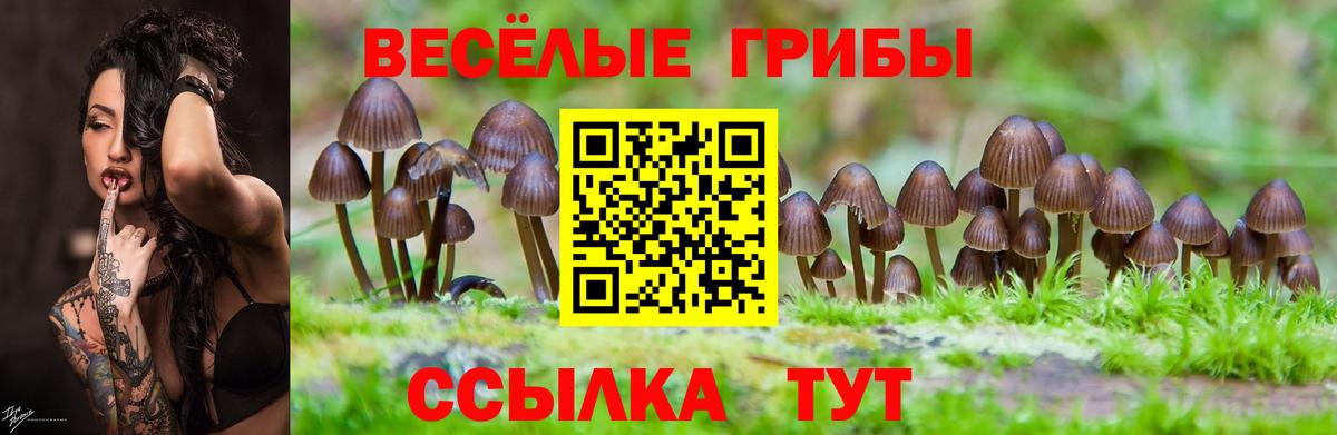 Галлюциногенные грибы мухоморы Кунгур