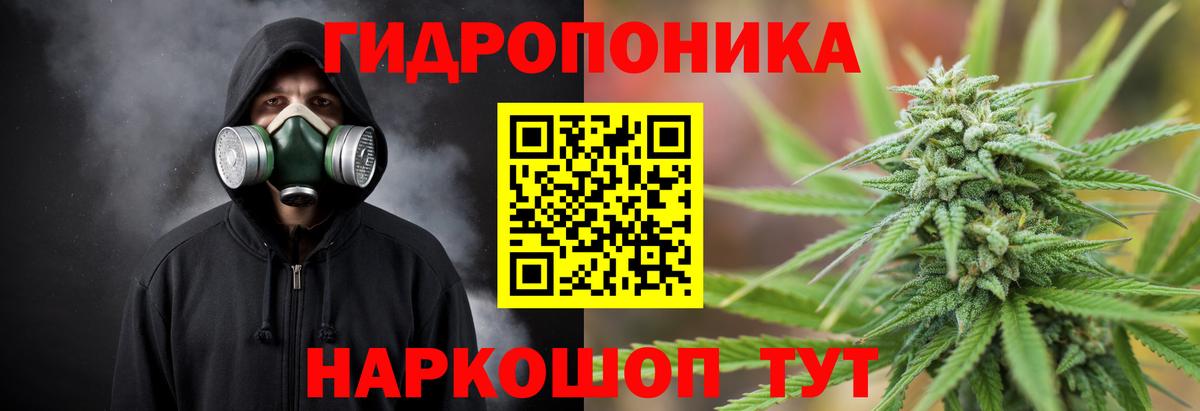 МАРИХУАНА OG Kush Кунгур